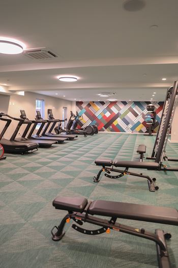 A gym with a variety of equipment including treadmills and rowing machines.